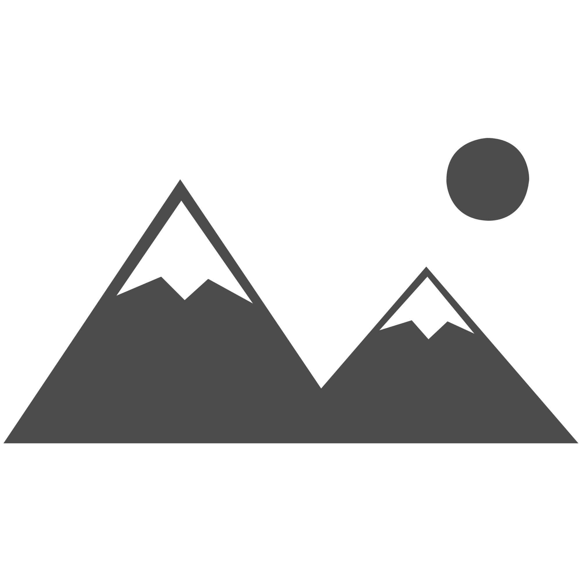 Axiom Dust Shoe AR4/6/8 Pro